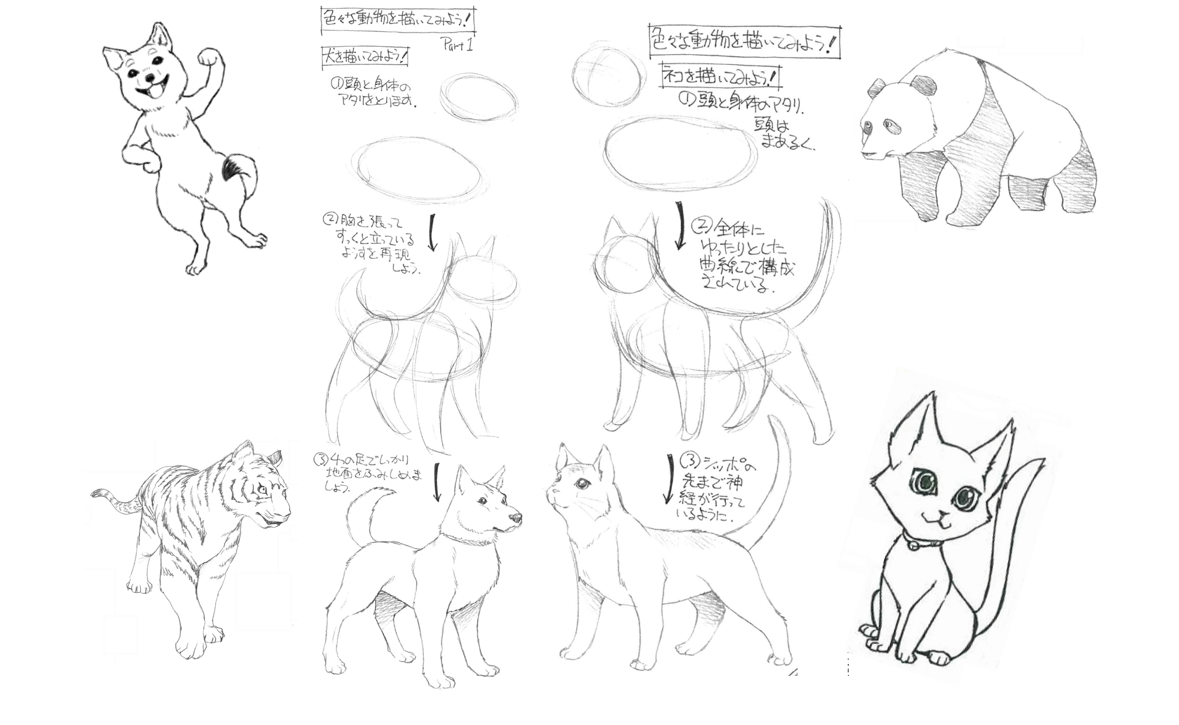 CI動物 CI動物.png